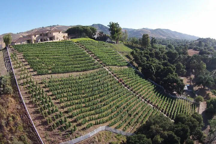 Unveiling Paso Robles Gold: A Winemaking Legacy
