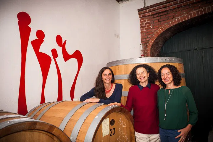 Uncork History: Castle Winery Tour & Tasting by Lake Maggiore