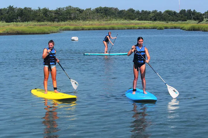 Glide into Serenity: Stand Up Paddleboarding on Cape Island Creek