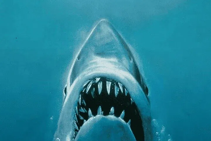 Relive Spielberg's Blockbuster: A Budget-Friendly 'Jaws' Movie Tour on Martha's Vineyard