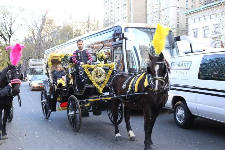 NYC: Central Park Private Horse Carriage Ride