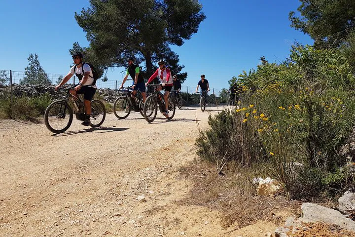 E-Bike Marseille: Calanques & City Private Tour