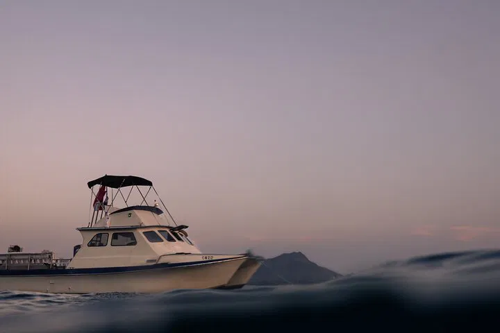 Oahu Sunset Spectacle: Private Snorkel & Dolphin Cruise!