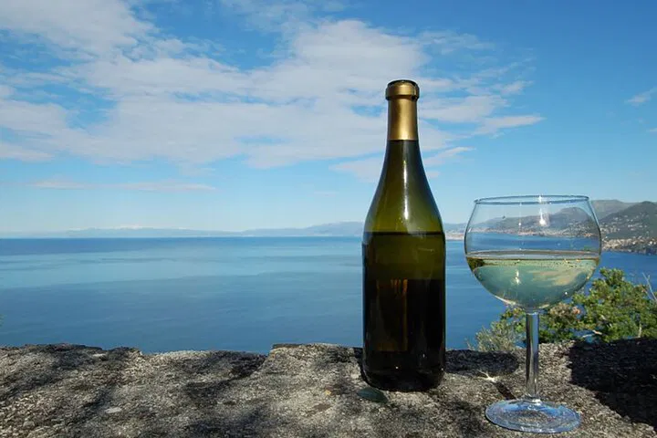Uncover Ligurian Charm: Wine Tasting & Nature Walk in Camogli