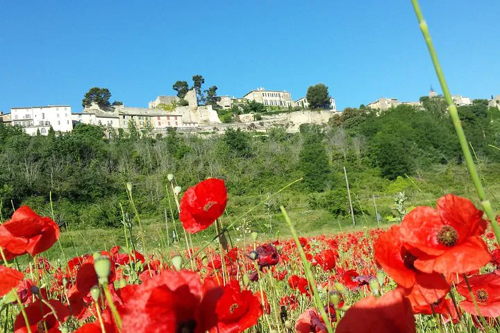 Provence Personalized Half-Day Adventure: Discover Your Dream Destinations!