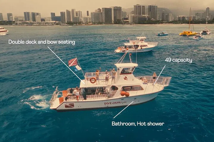 Dive into Adventure: Snorkel with Turtles in Waikiki's Underwater Paradise