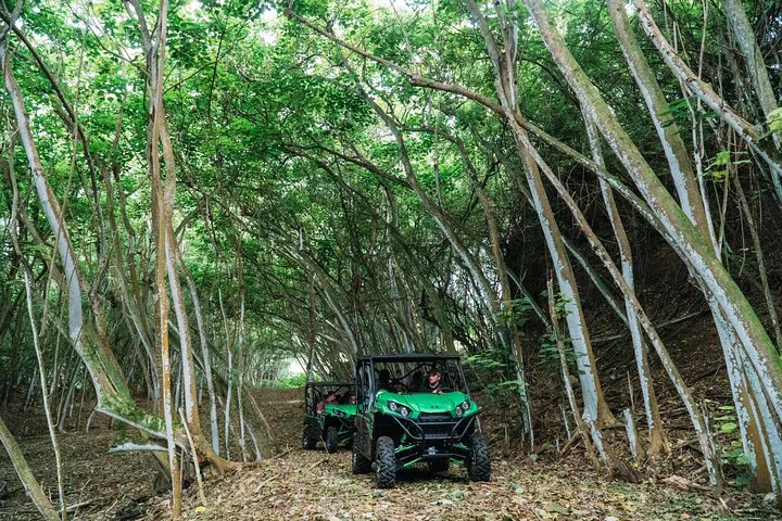 Uncover Oahu's Hidden Gems: Private Off-Road Adventure!