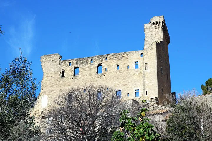 Avignon & Châteauneuf-du-Pape Wine Tour