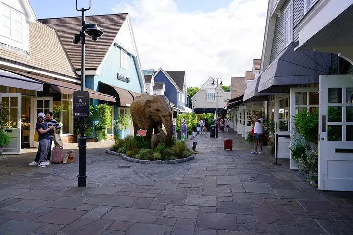 Luxury Shopping Escape: Private Bicester Village Tour from London