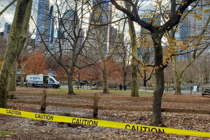 Uncover Central Park's Secrets: Scandal and Vice Walking Tour