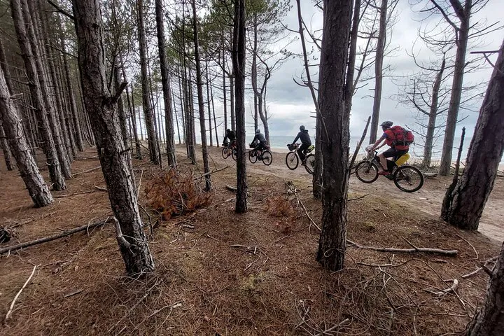 Cairngorms Bikepacking: Pedal Through Scotland's Wild Heart
