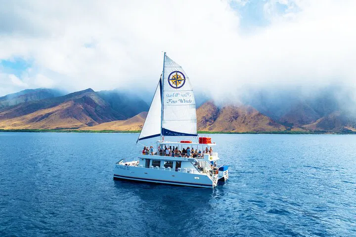 Four Winds Maui: Snorkel Coral Gardens & Molokini's Beauty!