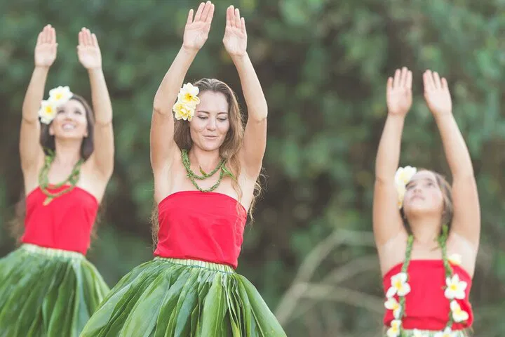 Unwind: Private Honolulu-North Shore Ride with Expert Recommendations!