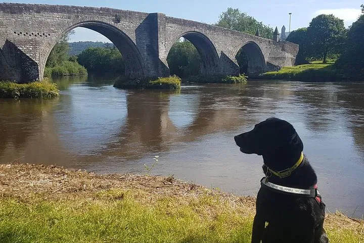 Relive History: Braveheart's Stirling Bridge Battlefield Tour