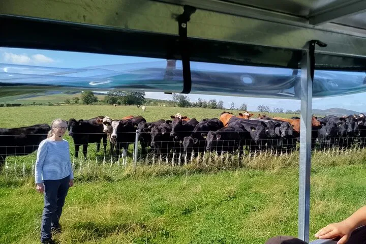 Bairnkine Farm Tour: An Immersive Scottish Nature Experience