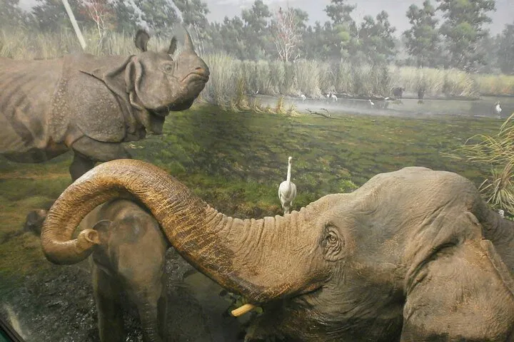 Milan Natural History Museum: Uncover Earth's Wonders with Skip-the-Line Access