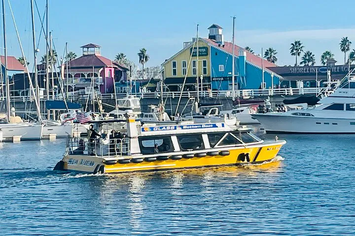 Long Beach Eco-Adventure: Glass Bottom Boat Harbor Tour!