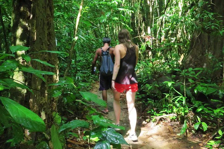 Khao Sok Jungle Safari: 2-Day Krabi Adventure