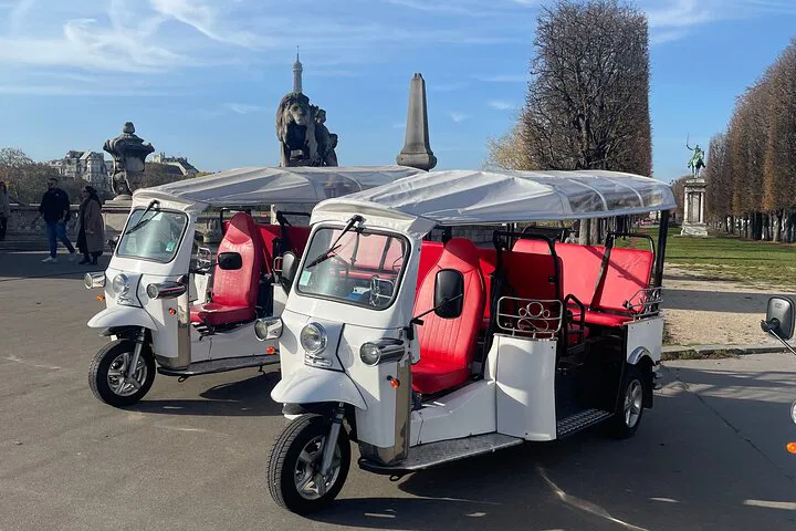 Paris E-TukTuk Adventure: Private Cultural Immersion