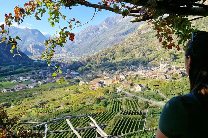 Uncover Piedmont's Hidden Wine Gems: A Canavese Escape