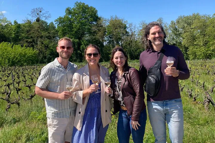 Indulge in Loire Valley's VIP Castle & Wine Tour from Paris!