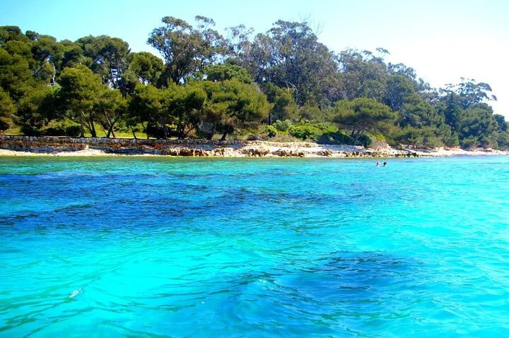 Lérins Islands Escape: Snorkeling & Serenity in Cannes' Jewel