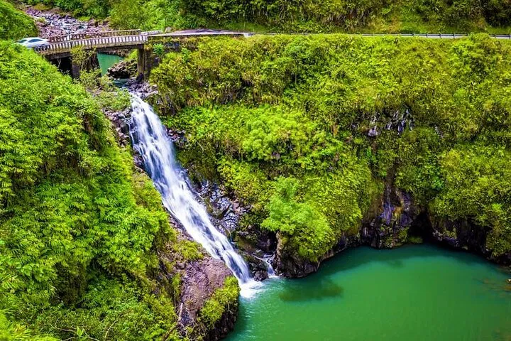 Unveiling Maui's Rainforest Majesty: An Exclusive Road to Hana Adventure