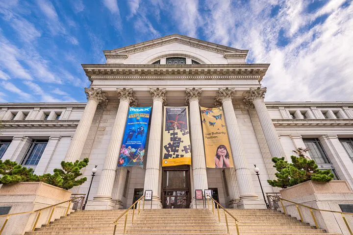 Unveiling Smithsonian's Treasures: An Exclusive Private Tour Experience